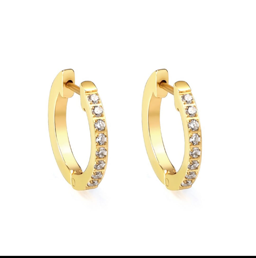 Waterproof, hoop earring, Gold Plated, Earrings, Hypoallergenic, Non-Tarnish, Jewelry, gifts for her, minimalist, Gifts, small hoop earrings